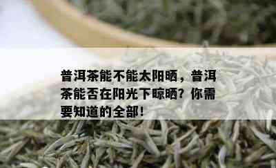 普洱茶能不能太阳晒，普洱茶能否在阳光下晾晒？你需要知道的全部！