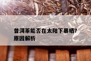 普洱茶能否在太阳下暴晒？原因解析