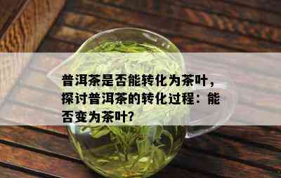 普洱茶是否能转化为茶叶，探讨普洱茶的转化过程：能否变为茶叶？