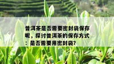 普洱茶是否需要密封袋保存呢，探讨普洱茶的保存方式：是否需要用密封袋？