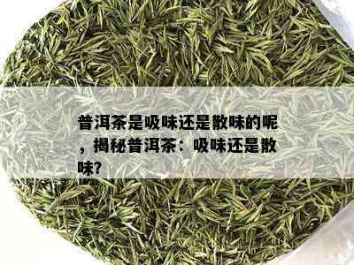 普洱茶是吸味还是散味的呢，揭秘普洱茶：吸味还是散味？