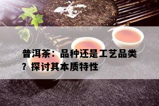 普洱茶：品种还是工艺品类？探讨其本质特性