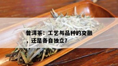 普洱茶：工艺与品种的交融，还是各自独立？