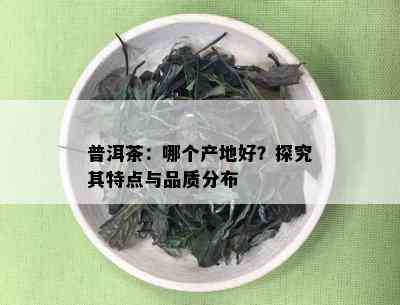 普洱茶：哪个产地好？探究其特点与品质分布