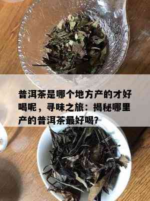 普洱茶是哪个地方产的才好喝呢，寻味之旅：揭秘哪里产的普洱茶更好喝？