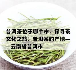 普洱茶位于哪个市，探寻茶文化之旅：普洱茶的产地——云南省普洱市