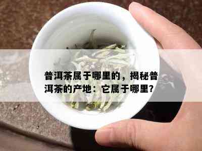 普洱茶属于哪里的，揭秘普洱茶的产地：它属于哪里？