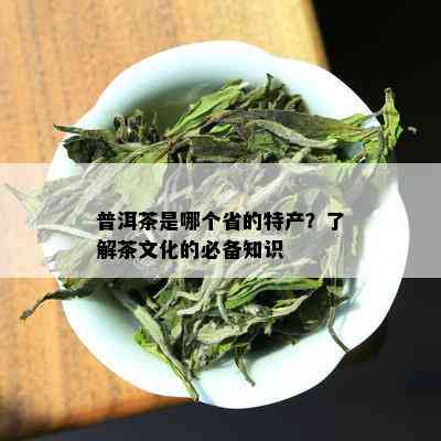 普洱茶是哪个省的特产？了解茶文化的必备知识