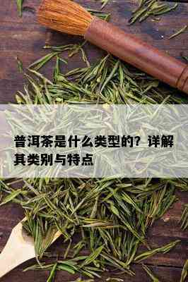 普洱茶是什么类型的？详解其类别与特点