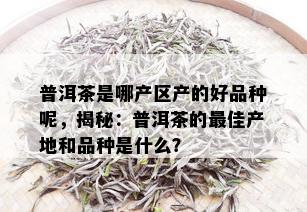 普洱茶是哪产区产的好品种呢，揭秘：普洱茶的更佳产地和品种是什么？