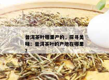 普洱茶叶哪里产的，探寻美味：普洱茶叶的产地在哪里？