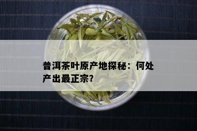 普洱茶叶原产地探秘：何处产出最正宗？