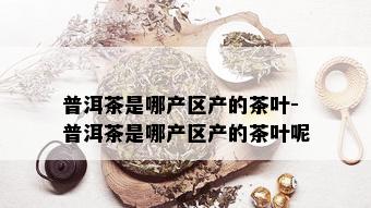 普洱茶是哪产区产的茶叶-普洱茶是哪产区产的茶叶呢