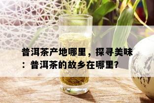 普洱茶产地哪里，探寻美味：普洱茶的故乡在哪里？