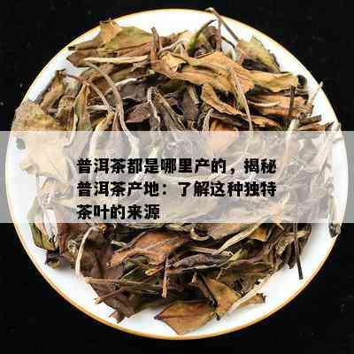 普洱茶都是哪里产的，揭秘普洱茶产地：了解这种独特茶叶的来源