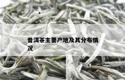 普洱茶主要产地及其分布情况