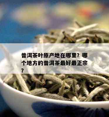 普洱茶叶原产地在哪里？哪个地方的普洱茶更好最正宗？