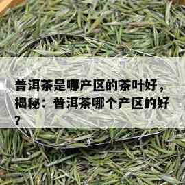 普洱茶是哪产区的茶叶好，揭秘：普洱茶哪个产区的好？