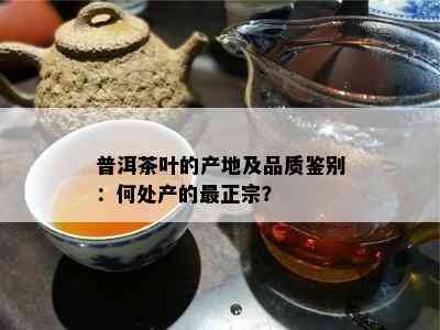 普洱茶叶的产地及品质鉴别：何处产的最正宗？