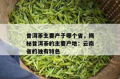 普洱茶主要产于哪个省，揭秘普洱茶的主要产地：云南省的独有特色