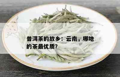 普洱茶的故乡：云南，哪地的茶更优质？