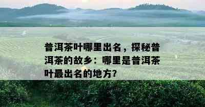 普洱茶叶哪里出名，探秘普洱茶的故乡：哪里是普洱茶叶最出名的地方？