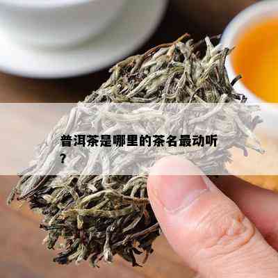 普洱茶是哪里的茶名最动听？