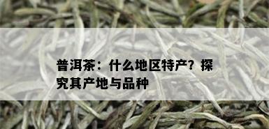 普洱茶：什么地区特产？探究其产地与品种