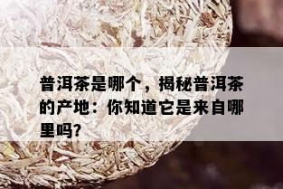 普洱茶是哪个，揭秘普洱茶的产地：你知道它是来自哪里吗？