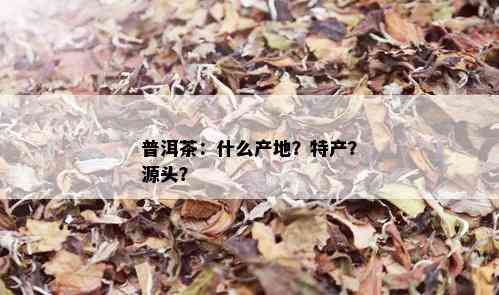 普洱茶：什么产地？特产？源头？