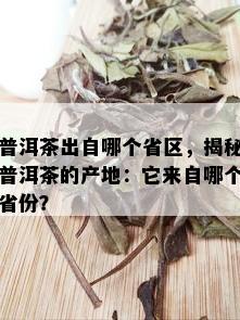 普洱茶出自哪个省区，揭秘普洱茶的产地：它来自哪个省份？