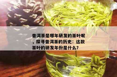 普洱茶是哪年研发的茶叶呢，探寻普洱茶的历史：这款茶叶的研发年份是什么？