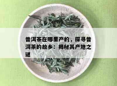 普洱茶在哪里产的，探寻普洱茶的故乡：揭秘其产地之谜