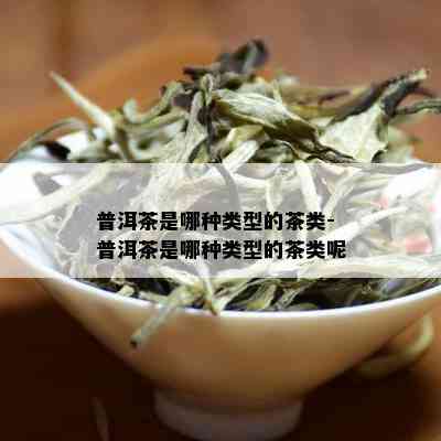 普洱茶是哪种类型的茶类-普洱茶是哪种类型的茶类呢