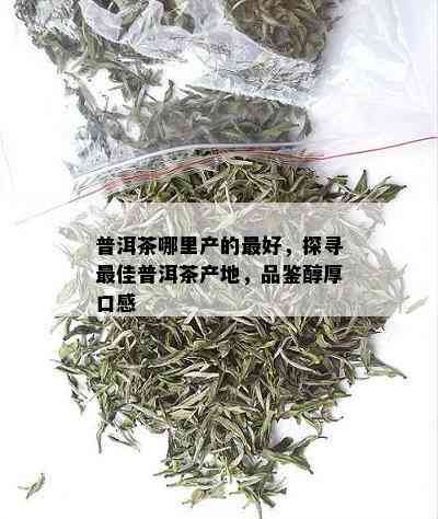 普洱茶哪里产的更好，探寻更佳普洱茶产地，品鉴醇厚口感