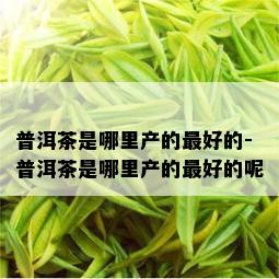 普洱茶是哪里产的更好的-普洱茶是哪里产的更好的呢