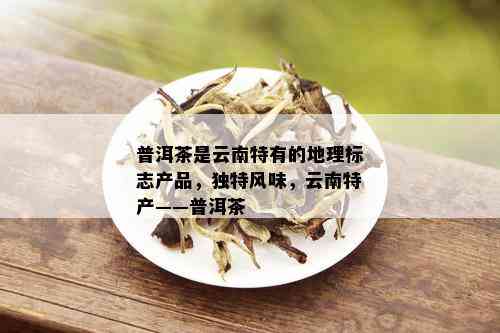 普洱茶是云南特有的地理标志产品，独特风味，云南特产——普洱茶