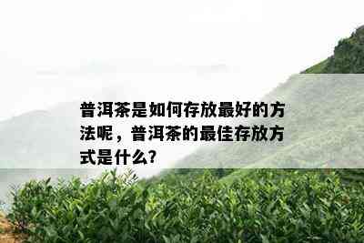 普洱茶是如何存放更好的方法呢，普洱茶的更佳存放方式是什么？