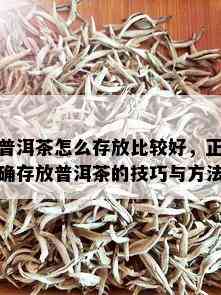 普洱茶怎么存放比较好，正确存放普洱茶的技巧与方法