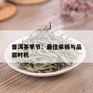 普洱茶季节：更佳采摘与品尝时机