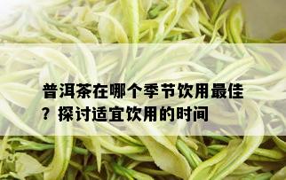 普洱茶在哪个季节饮用更佳？探讨适宜饮用的时间