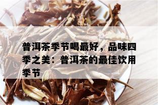 普洱茶季节喝更好，品味四季之美：普洱茶的更佳饮用季节