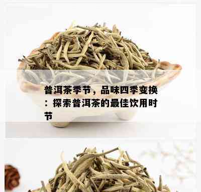 普洱茶季节，品味四季变换：探索普洱茶的更佳饮用时节