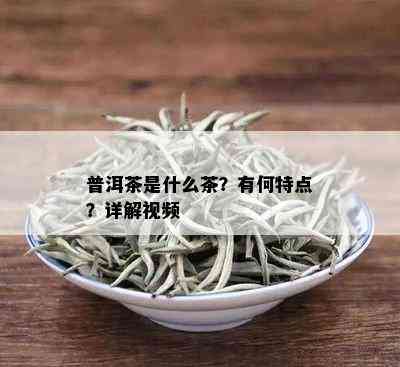 普洱茶是什么茶？有何特点？详解视频