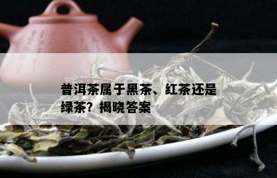 普洱茶属于黑茶、红茶还是绿茶？揭晓答案