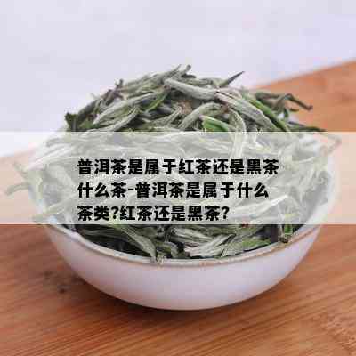 普洱茶是属于红茶还是黑茶什么茶-普洱茶是属于什么茶类?红茶还是黑茶?