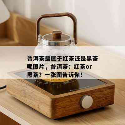 普洱茶是属于红茶还是黑茶呢图片，普洱茶：红茶or黑茶？一张图告诉你！