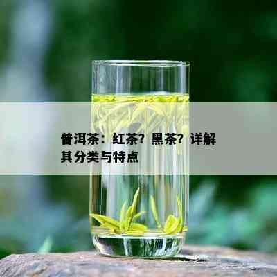 普洱茶：红茶？黑茶？详解其分类与特点