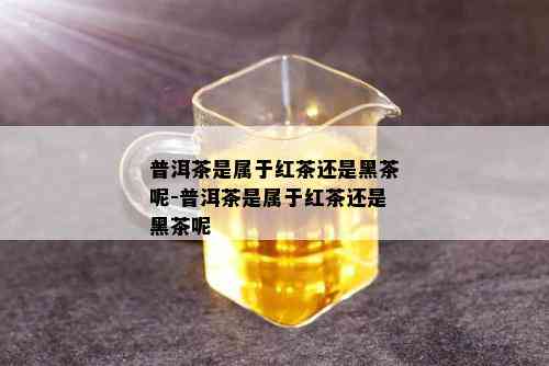 普洱茶是属于红茶还是黑茶呢-普洱茶是属于红茶还是黑茶呢