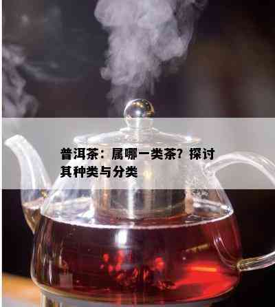 普洱茶：属哪一类茶？探讨其种类与分类